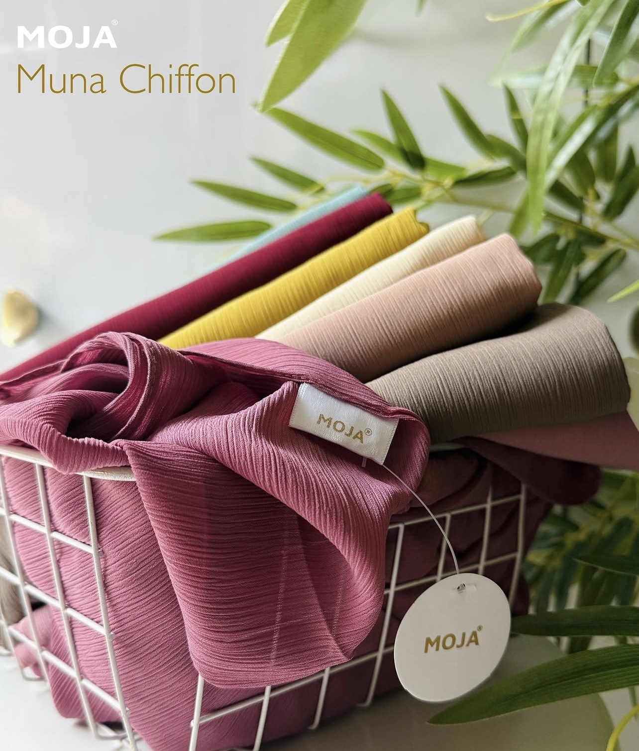 Moja Munna chiffon